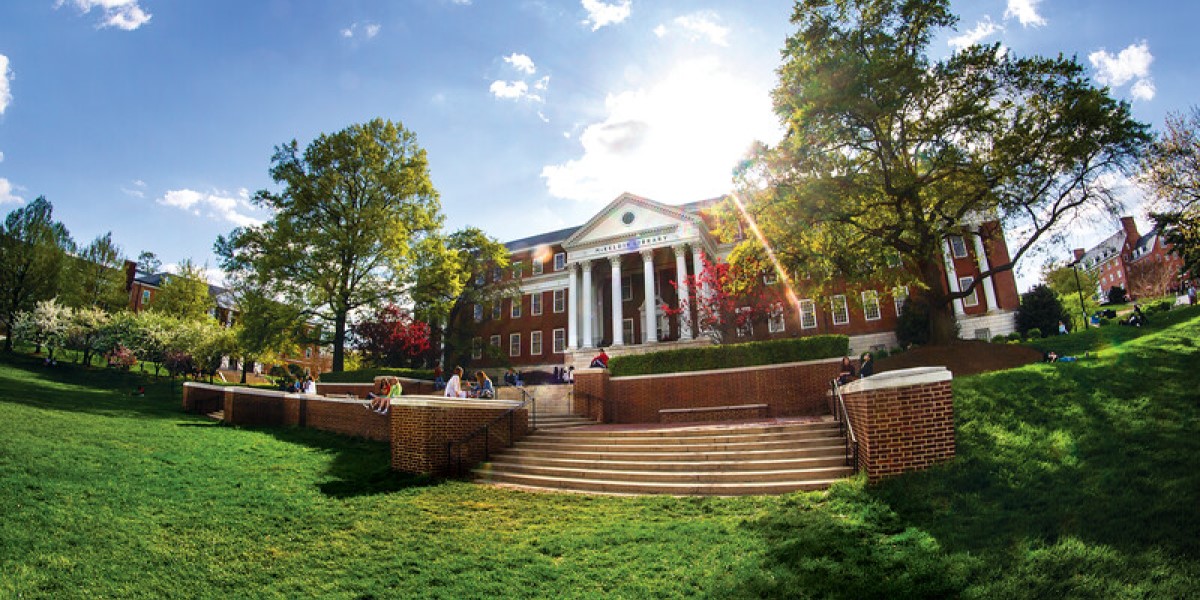 Front view of the UMD Library on a sunny day.