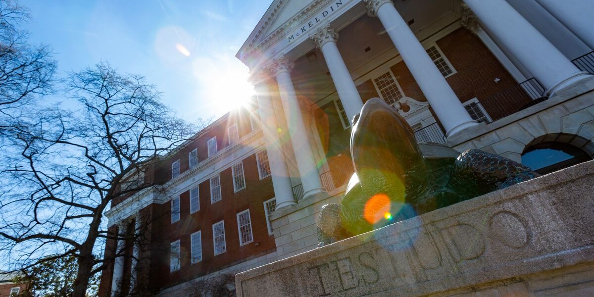 Photo of Testudo statue on the UMD Campus with sunshine