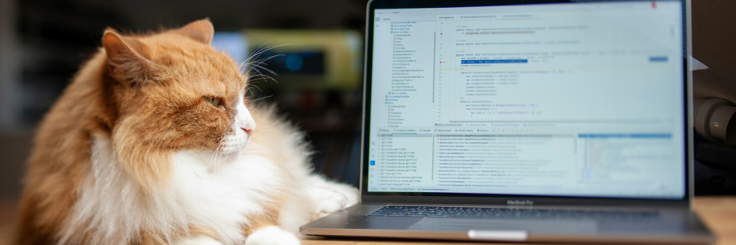 Cat sitting next to laptop which has coding on its screen