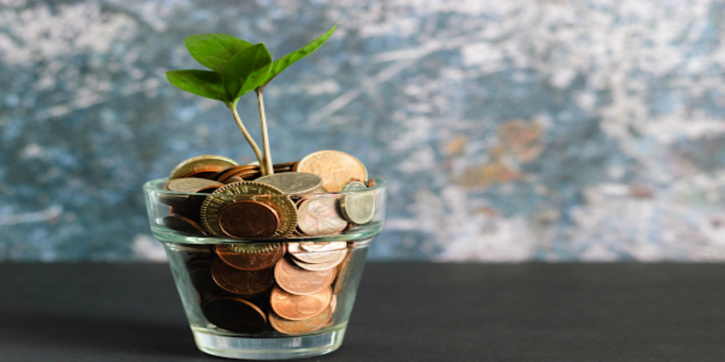 bowl of pennies with a plant growing out of it