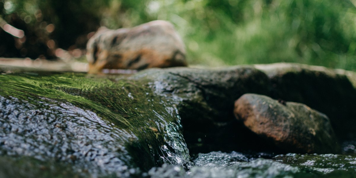 Photo of a stream